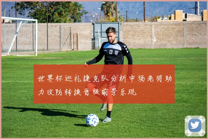世界杯巡礼捷克队分析中场老将助力攻防转换晋级前景乐观