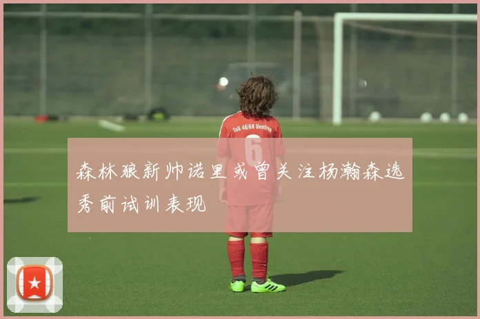 森林狼新帅诺里或曾关注杨瀚森选秀前试训表现